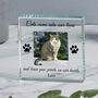 Personalised Paw Prints Glass Token Gift Boxed, thumbnail 3 of 4