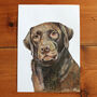 Personalised, Original Dog Portrait, thumbnail 2 of 5