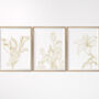 Set Of Three Contemporary Floral Art Prints, thumbnail 5 of 8