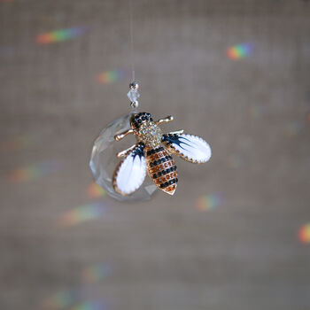 Bee Suncatcher Gift A Pocket Full Of Rainbows, 6 of 8