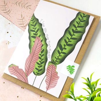 Set Of Six Houseplant Greeting Cards, 8 of 12