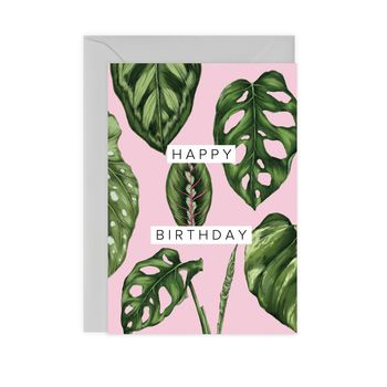 Houseplants 'Happy Birthday' Botanical Card, 2 of 2