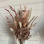 Blush Hydrangea Dried Flower Posy With Jar, thumbnail 9 of 10