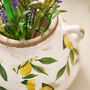 Ravello Lemon Planter, thumbnail 6 of 6