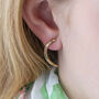 Curved Rainbow Crystal Earrings, thumbnail 1 of 3