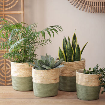Seagrass Baskets Natural And Green, 2 of 2
