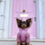 Hearts Of Pink Adjustable Dog Harness, thumbnail 5 of 9