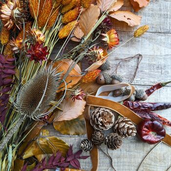 Autumn Dried Flower And Foliage Wreath Kit, 8 of 12