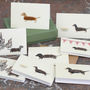 Boxed Collection Of Dachshund Gift Cards, thumbnail 1 of 3