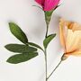 Blush Crepe Paper Flower Craft Kit, thumbnail 7 of 7