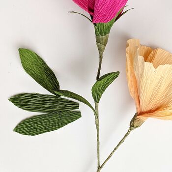 Blush Crepe Paper Flower Craft Kit, 7 of 7