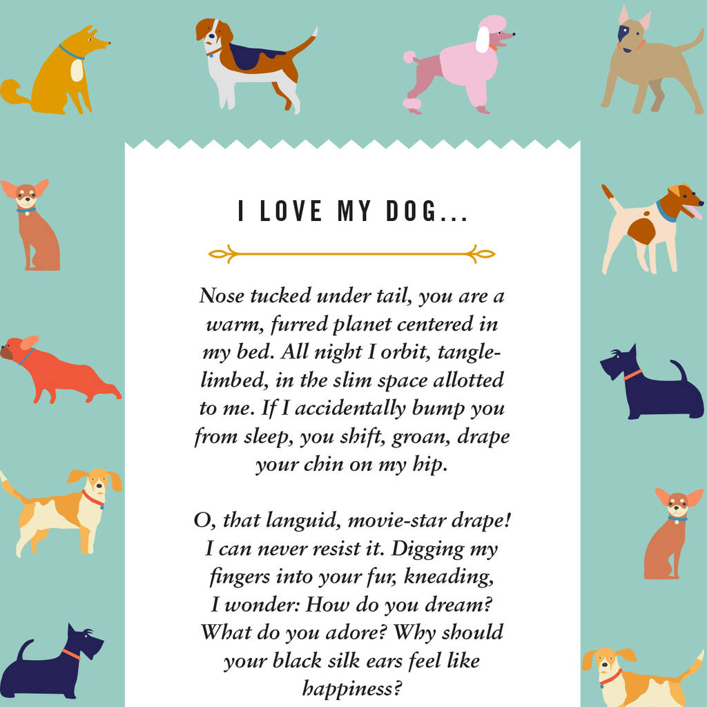 essays about love for dogs