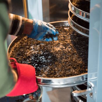 Dark Tea Seasonal Loose Leaf Tea Edit, 9 of 10