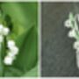 Lily Of The Valley White Flower Brooch, thumbnail 5 of 6