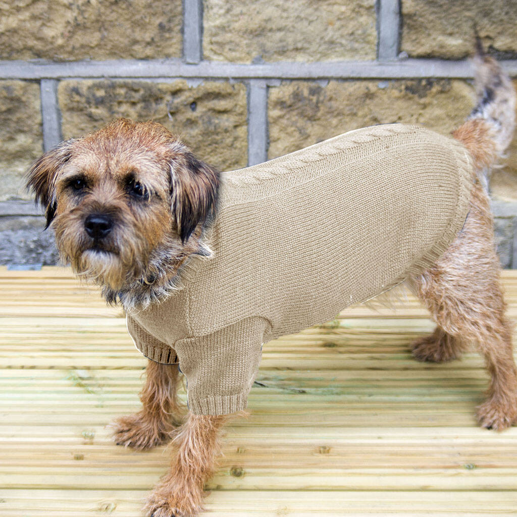 Ivory Chunky Knit Dog Jumper By Dibor | notonthehighstreet.com