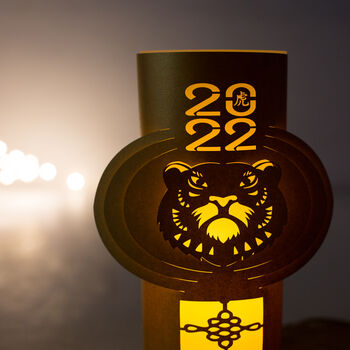 Chinese New Year Lantern 2022 Tiger Lunar Decoration, 9 of 12