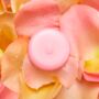 Rose Melts Pack Of Four, thumbnail 2 of 3