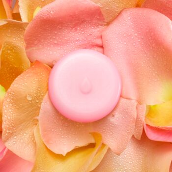 Rose Melts Pack Of Four, 2 of 3