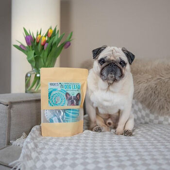 Make Your Own Mint Green Dog Lead Craft Kit, 2 of 5