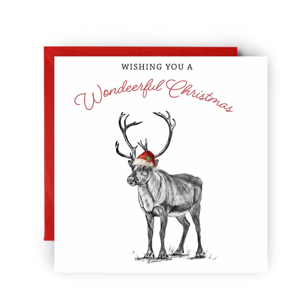 Wishing You A Wondeerful Wildlife Christmas Card, 1 of 4