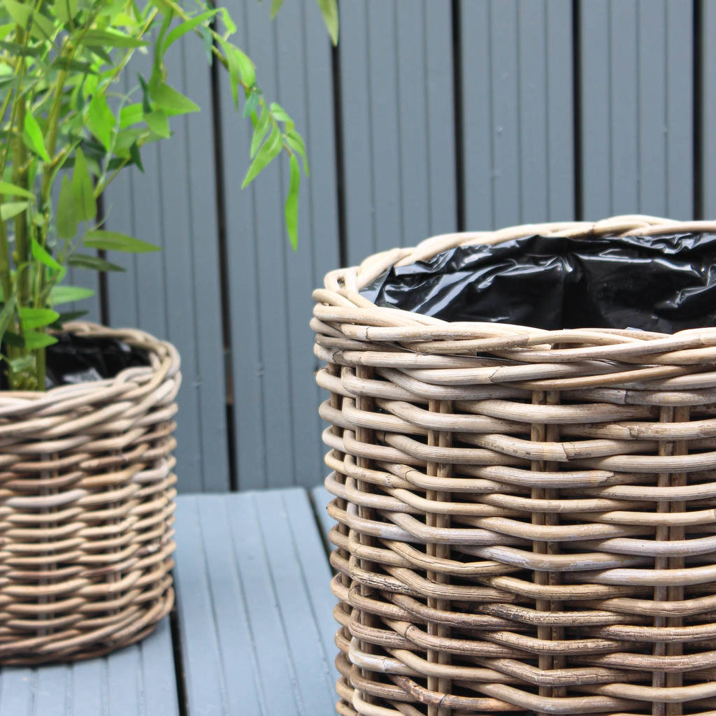 natural rattan planters set of three by marquis & dawe