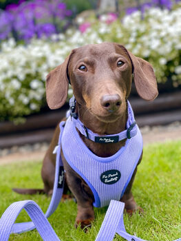 Pastel Purple Cord Dog Harness, 4 of 6