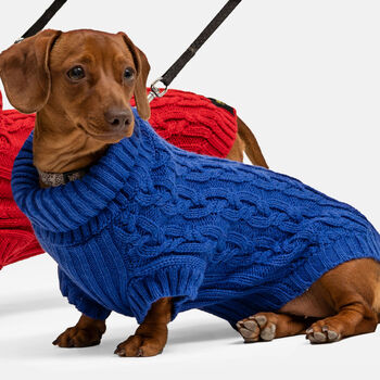 Blue Mini Dachshund Knitted Jumper, 2 of 5