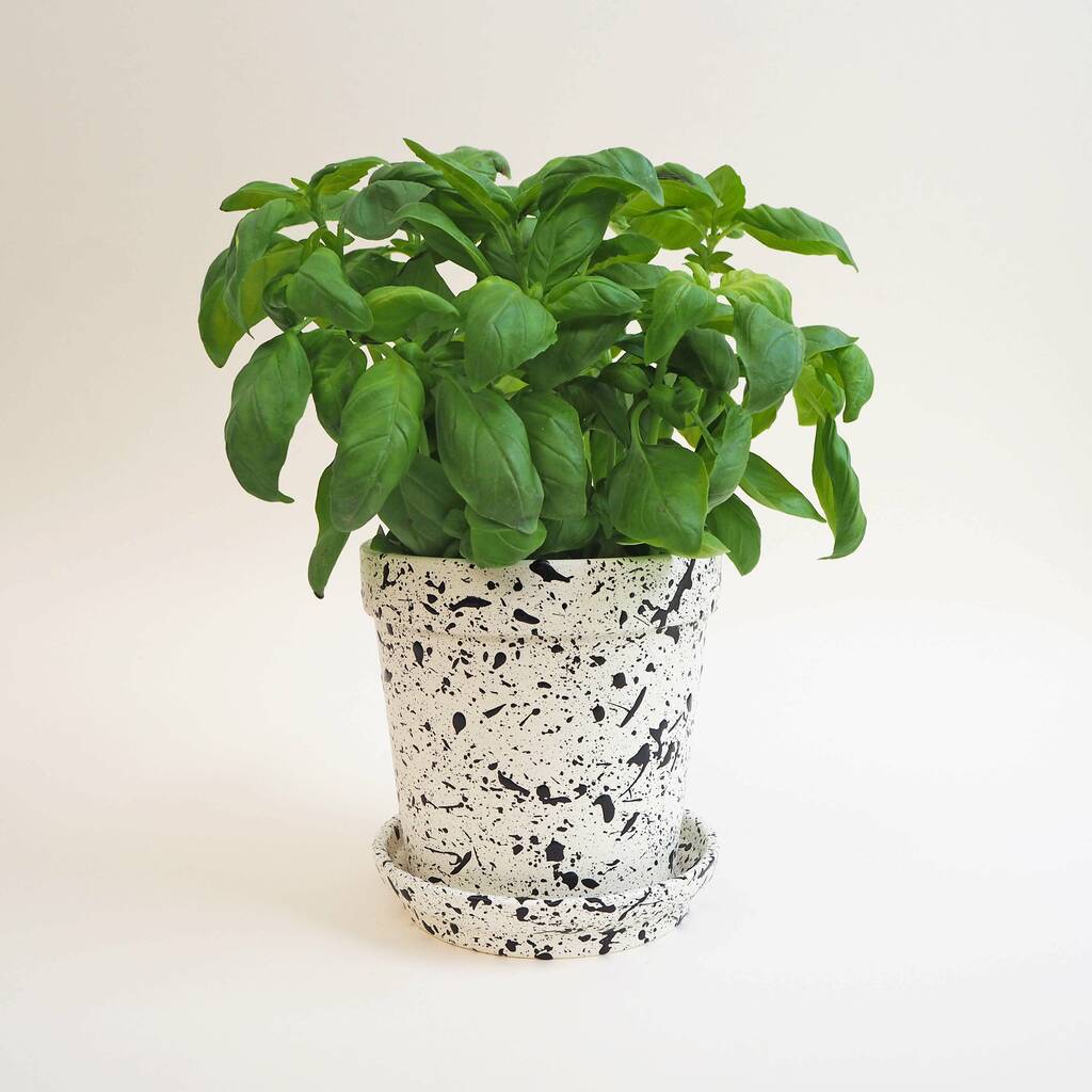Medium Splatter Ceramic Plant Pot And Dish, 1 of 7