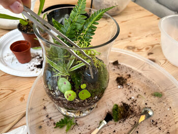 Carnivorous Plant Terrarium Workshop, Manchester, 12 of 12