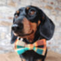 Squirrel Chaser Handmade Dog Bow Tie Autumn, thumbnail 1 of 6