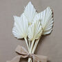 Bleached Dried Exotic Palm Spear Bunch, thumbnail 1 of 5