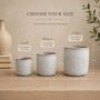 Personalised Teacher Plant Pot, thumbnail 2 of 7