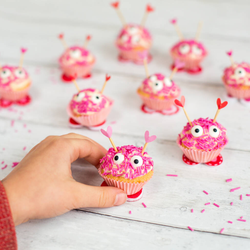 Valentines Love Bug Cupcake Kit By Craft & Crumb | notonthehighstreet.com