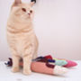 Giant Trout Kicker Valerian Root Or Catnip Toy, Cat Toy, thumbnail 1 of 2