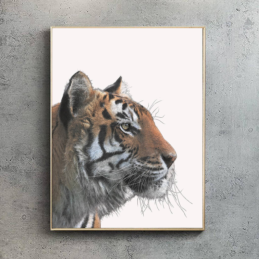 Bengal Tiger Giclée Art Print By Ben Rothery Illustrator ...
