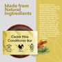 Cedar Pine Conditioner Bar For All Hair Types, thumbnail 2 of 10