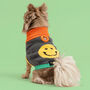 Smiley Knitted Dog Jumper, thumbnail 2 of 5