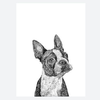 Boston Terrier Dog Print, 3 of 3