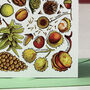 Nuts And Seeds Of Britain Art Greeting Card, thumbnail 3 of 7