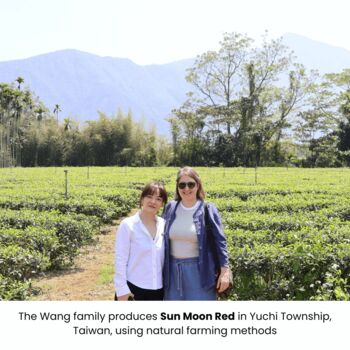 Moments With Tea Artisan Tea Collection, 9 of 9