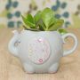 Elephant Mug Planter With A Succulent Mothers Day Gift, thumbnail 3 of 7
