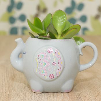 Elephant Mug Planter With A Succulent Mothers Day Gift, 3 of 7