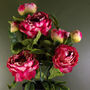 Artificial Peony Flowering Plant Pink, thumbnail 4 of 5