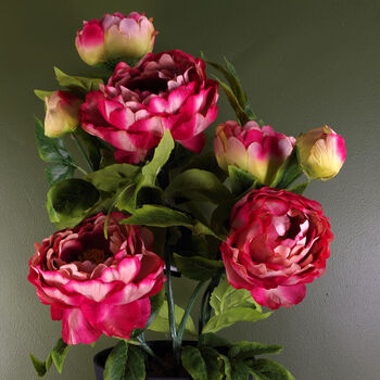 Artificial Peony Flowering Plant Pink, 4 of 5