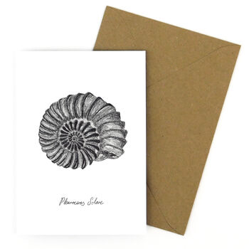 Ammonite Print A6 Greetings Card, 3 of 7