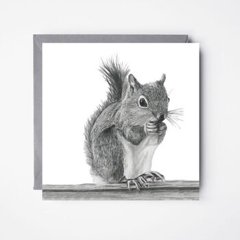 Squirrel Countryside Wildlife Greeting Card, 2 of 7