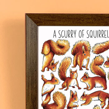 Red Squirrels Watercolour Art Print, 2 of 6