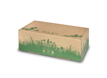 British Grown Seasonal Fresh Flower Posy Subscription With Jar, 10 of 10