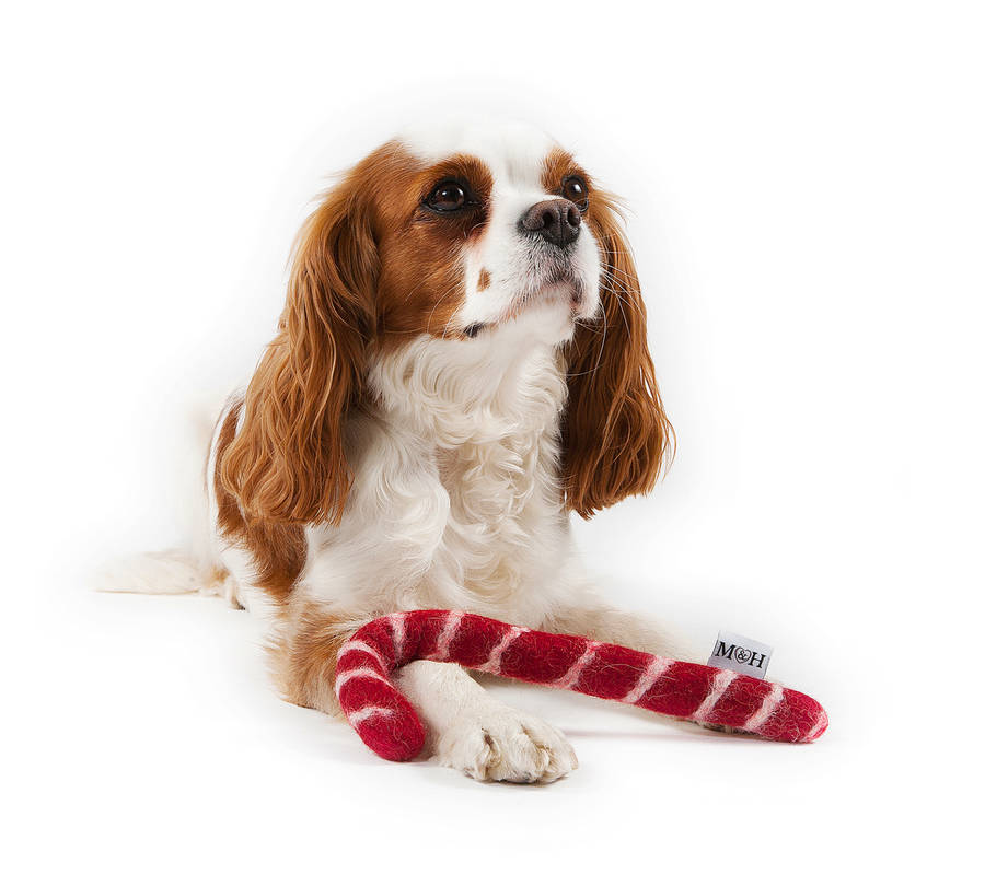 plush candy cane dog toy