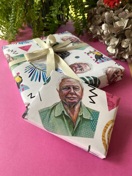 David Attenborough Wrapping Paper, Fun Nature Gift Wrap, 7 of 11